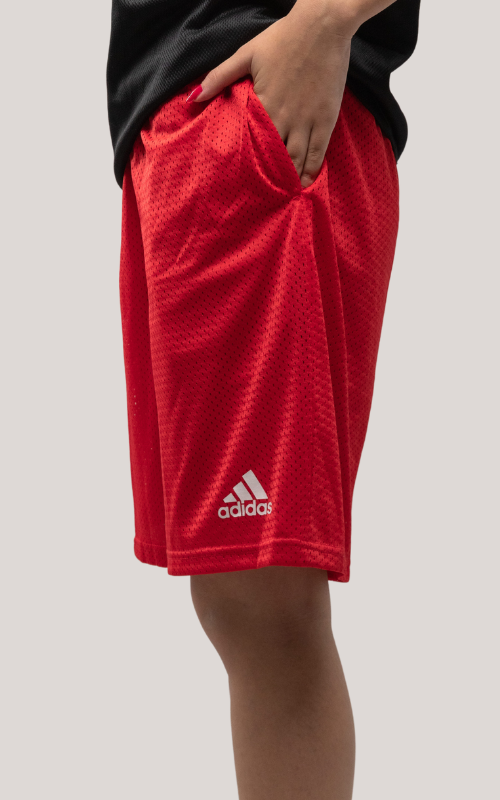 Net Adidas shorts Bundle