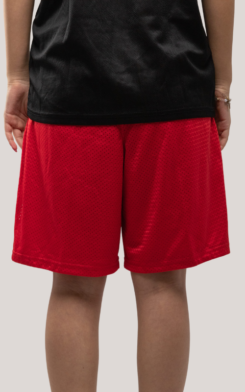 Net Adidas shorts Bundle