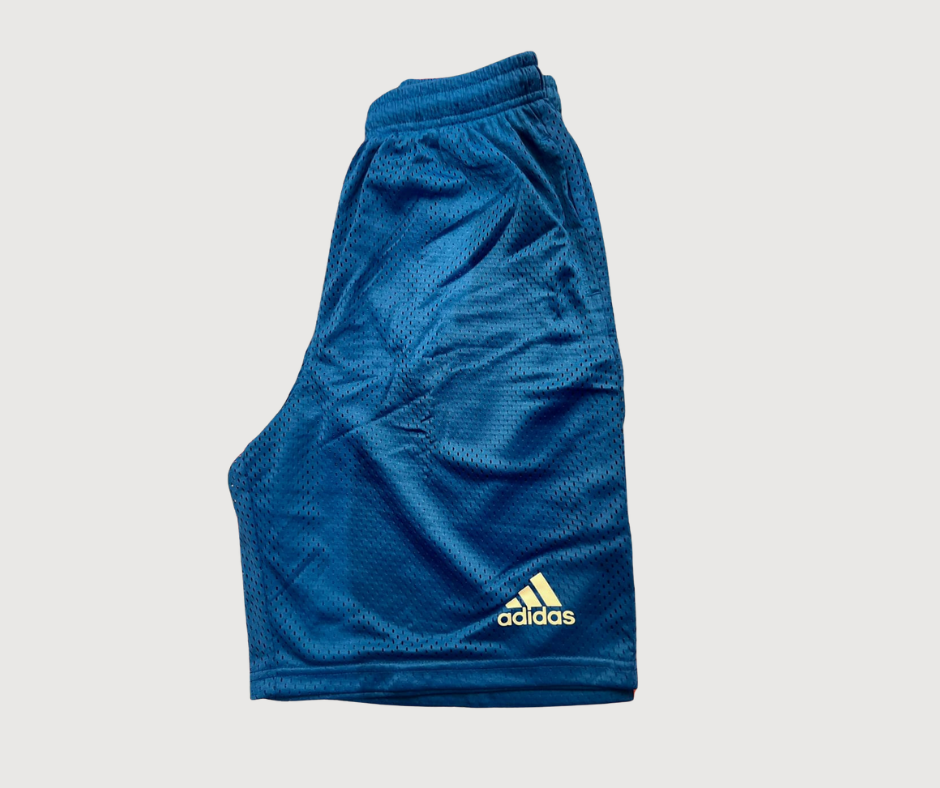 Blue Net Adidas shorts