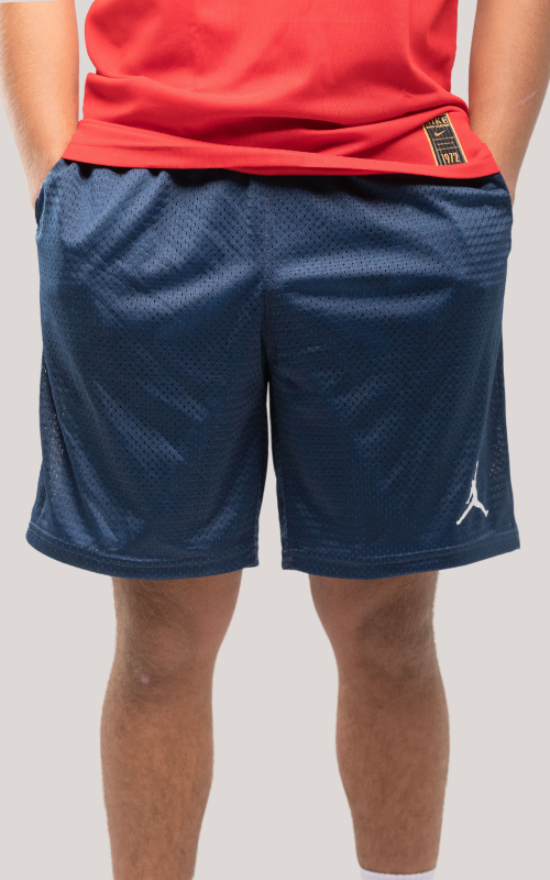 Net Jordan shorts Bundle