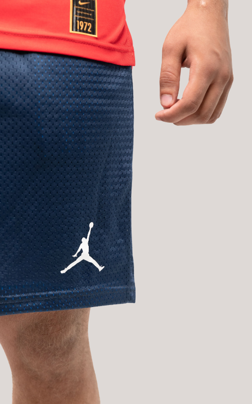 Net Jordan shorts Bundle