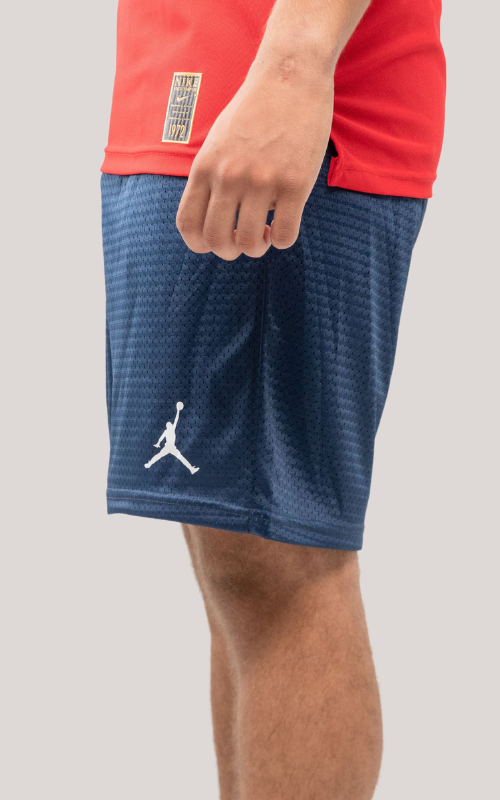 Net Jordan shorts Bundle