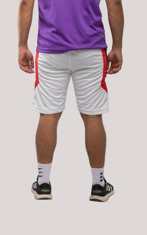 jordan shorts Bundle